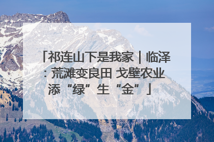 祁连山下是我家｜临泽：荒滩变良田 戈壁农业添“绿”生“金”