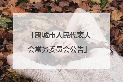 禹城市人民代表大会常务委员会公告