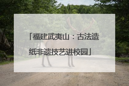 福建武夷山：古法造纸非遗技艺进校园