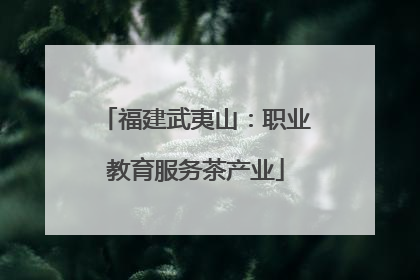 福建武夷山：职业教育服务茶产业