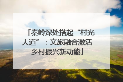 秦岭深处搭起“村光大道”：文旅融合激活乡村振兴新动能