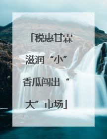 税惠甘霖滋润“小”香瓜闯出“大”市场