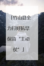 竹山县全力打好抗旱保苗“主动仗”
