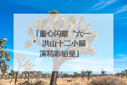童心闪耀“六一” 洪山十二小展演精彩纷呈