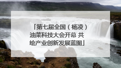 第七届全国（杨凌）油菜科技大会开幕 共绘产业创新发展蓝图