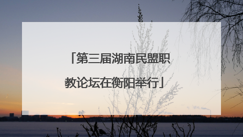 第三届湖南民盟职教论坛在衡阳举行