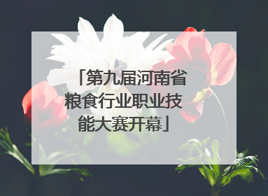 第九届河南省粮食行业职业技能大赛开幕