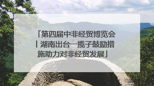 第四届中非经贸博览会丨湖南出台一揽子鼓励措施助力对非经贸发展