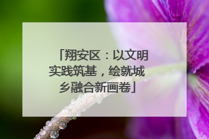 翔安区：以文明实践筑基，绘就城乡融合新画卷