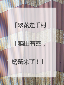 翠花走千村丨稻田有喜，螃蟹来了！