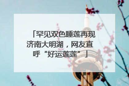 罕见双色睡莲再现济南大明湖，网友直呼“好运莲莲”