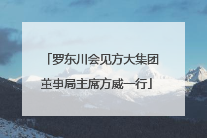罗东川会见方大集团董事局主席方威一行