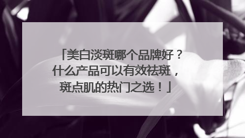 美白淡斑哪个品牌好？什么产品可以有效祛斑，斑点肌的热门之选！