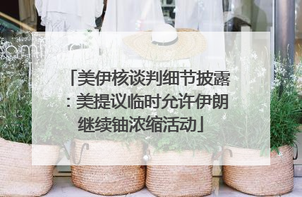 美伊核谈判细节披露：美提议临时允许伊朗继续铀浓缩活动