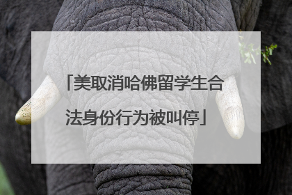 美取消哈佛留学生合法身份行为被叫停