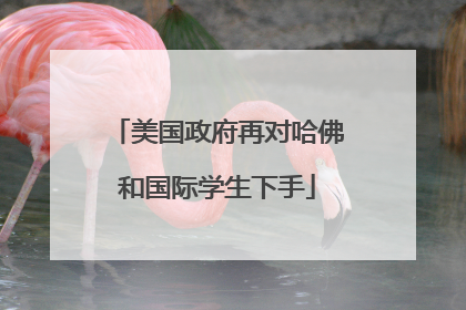 美国政府再对哈佛和国际学生下手