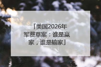 美国2026年军费草案：谁是赢家，谁是输家