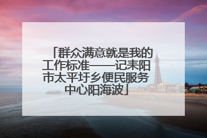 群众满意就是我的工作标准——记耒阳市太平圩乡便民服务中心阳海波