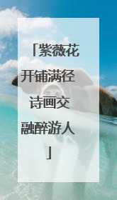 紫薇花开铺满径 诗画交融醉游人