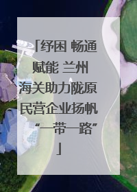 纾困 畅通 赋能 兰州海关助力陇原民营企业扬帆“一带一路”