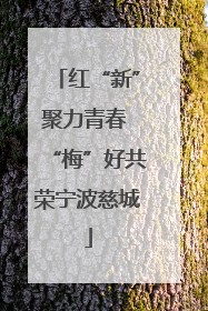 红“新”聚力青春 “梅”好共荣宁波慈城