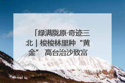 绿满陇原·奇迹三北｜梭梭林里种“黄金” 高台治沙致富很“从容”
