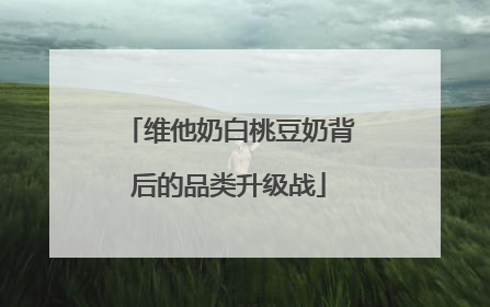 维他奶白桃豆奶背后的品类升级战