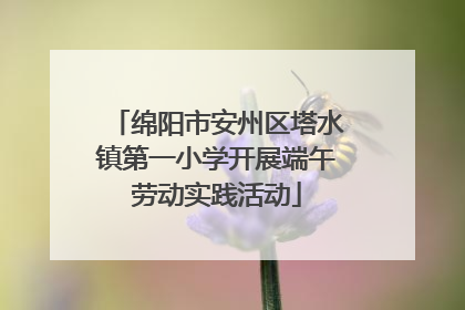 绵阳市安州区塔水镇第一小学开展端午劳动实践活动