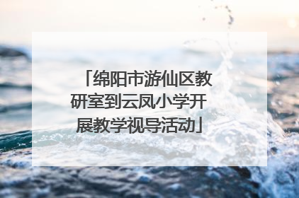 绵阳市游仙区教研室到云凤小学开展教学视导活动