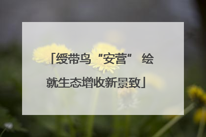 绶带鸟“安营” 绘就生态增收新景致