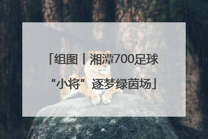 组图丨湘潭700足球“小将”逐梦绿茵场