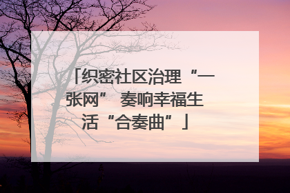 织密社区治理“一张网” 奏响幸福生活“合奏曲”