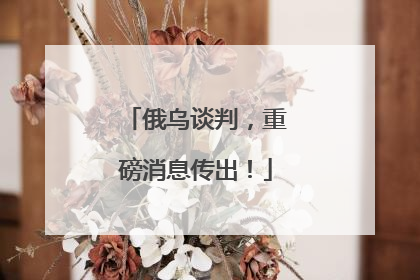 俄乌谈判，重磅消息传出！