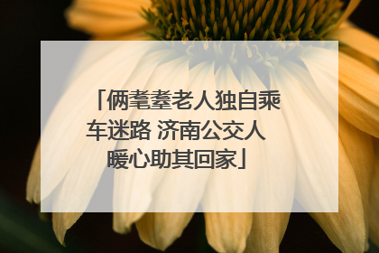 俩耄耋老人独自乘车迷路 济南公交人暖心助其回家