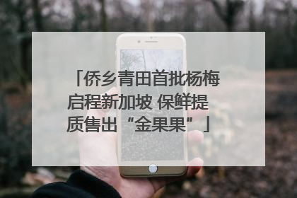 侨乡青田首批杨梅启程新加坡 保鲜提质售出“金果果”