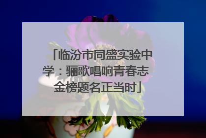 临汾市同盛实验中学：骊歌唱响青春志 金榜题名正当时