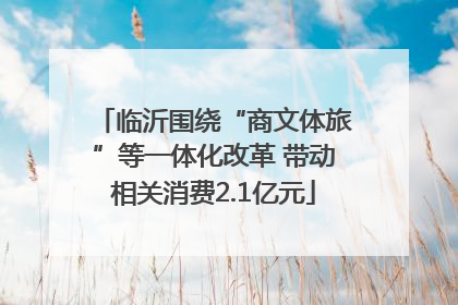 临沂围绕“商文体旅”等一体化改革 带动相关消费2.1亿元