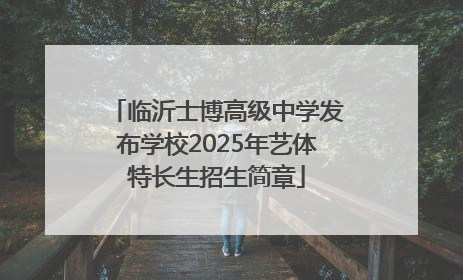 临沂士博高级中学发布学校2025年艺体特长生招生简章