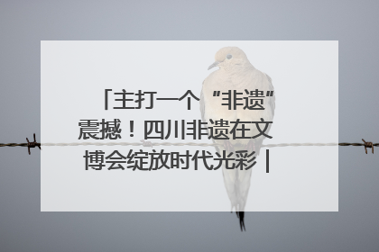 主打一个“非遗”震撼！四川非遗在文博会绽放时代光彩｜文博向“新”