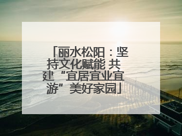 丽水松阳：坚持文化赋能 共建“宜居宜业宜游”美好家园