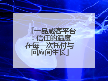 一品威客平台：信任的温度 在每一次托付与回应间生长