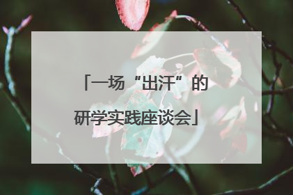 一场“出汗”的研学实践座谈会