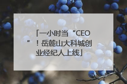 一小时当“CEO”！岳麓山大科城创业经纪人上线