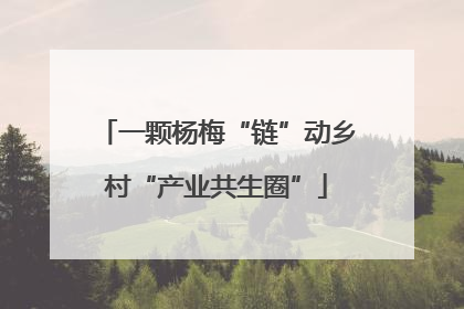 一颗杨梅“链”动乡村“产业共生圈”