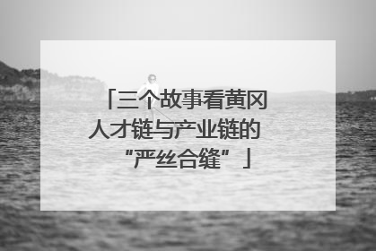 三个故事看黄冈人才链与产业链的“严丝合缝”