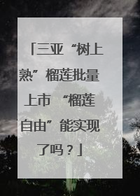 三亚“树上熟”榴莲批量上市 “榴莲自由”能实现了吗？