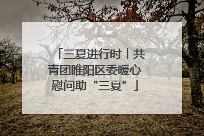 三夏进行时丨共青团睢阳区委暖心慰问助“三夏”