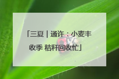 三夏｜通许：小麦丰收季 秸秆回收忙
