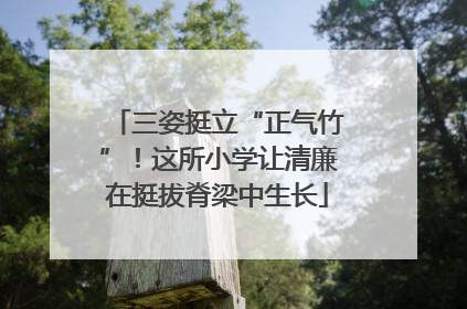 三姿挺立“正气竹”！这所小学让清廉在挺拔脊梁中生长