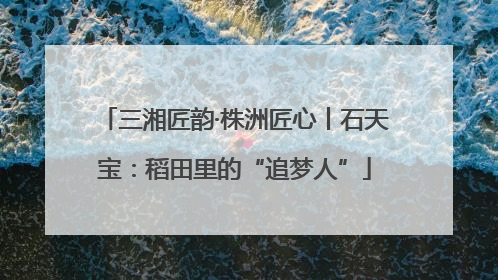 三湘匠韵·株洲匠心丨石天宝：稻田里的“追梦人”